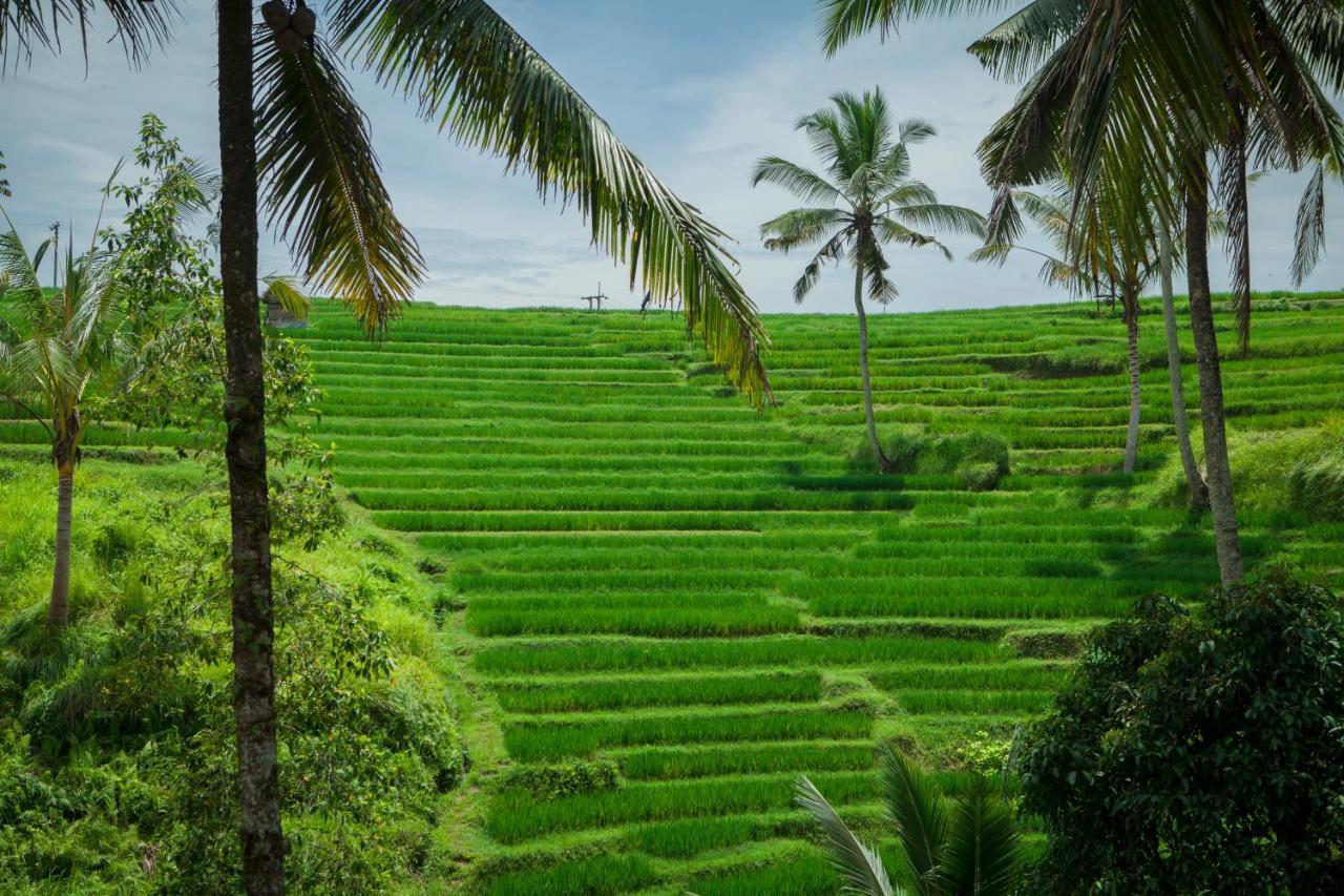 Be Bali Stay Убуд Экстерьер фото